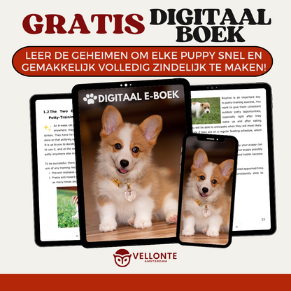 PetSafe autostoelhoes | Bestel NU met 50% KORTING!